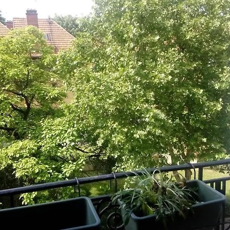 Apartment Flat